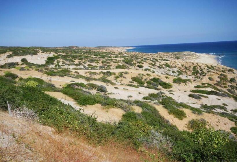 Fotos del hotel Vidasoul:  18