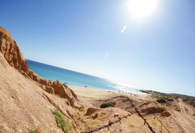 Fotos del hotel Vidasoul:  13