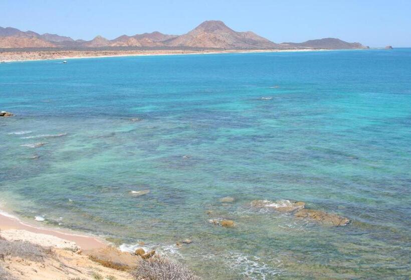 Fotos del hotel Vidasoul:  15