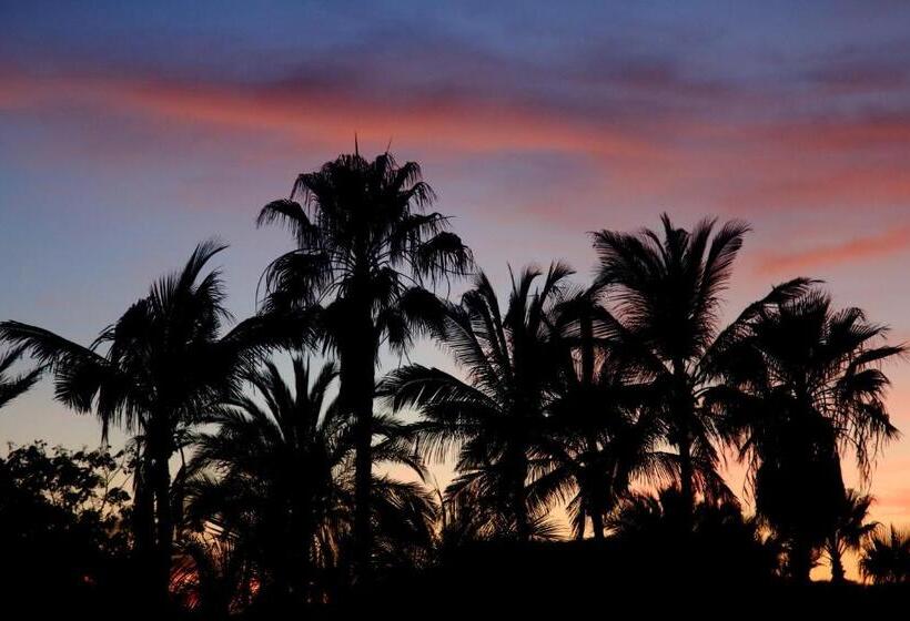 Fotos del hotel Vidasoul:  22