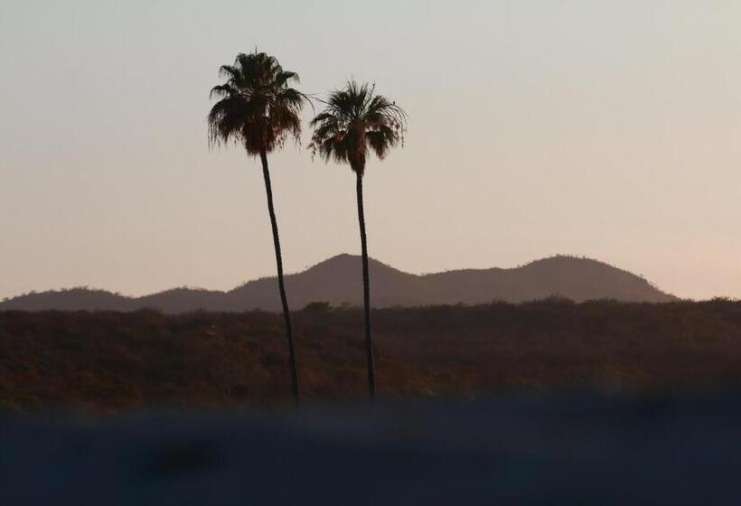 Fotos del hotel Vidasoul:  16