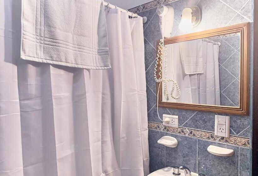 Fotos del hotel Cumbres Nevadas:  11