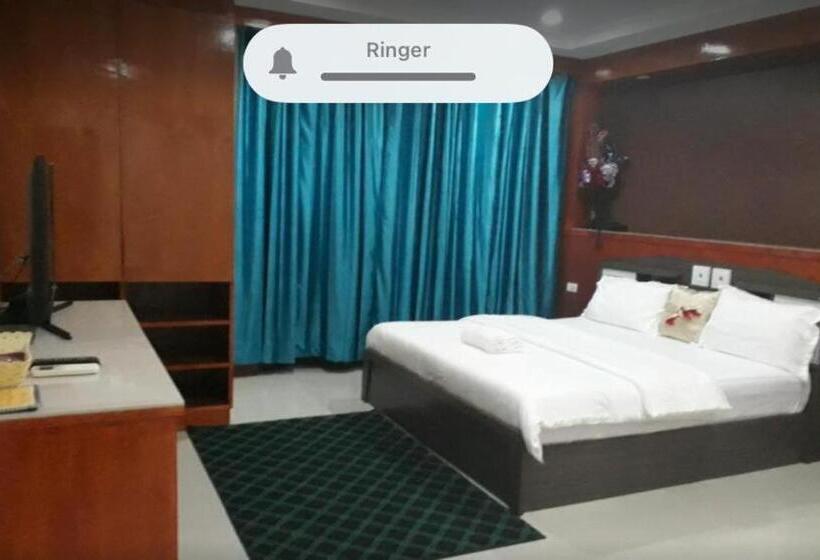 Fotos del hotel New Pind Balluchi Inn:  20