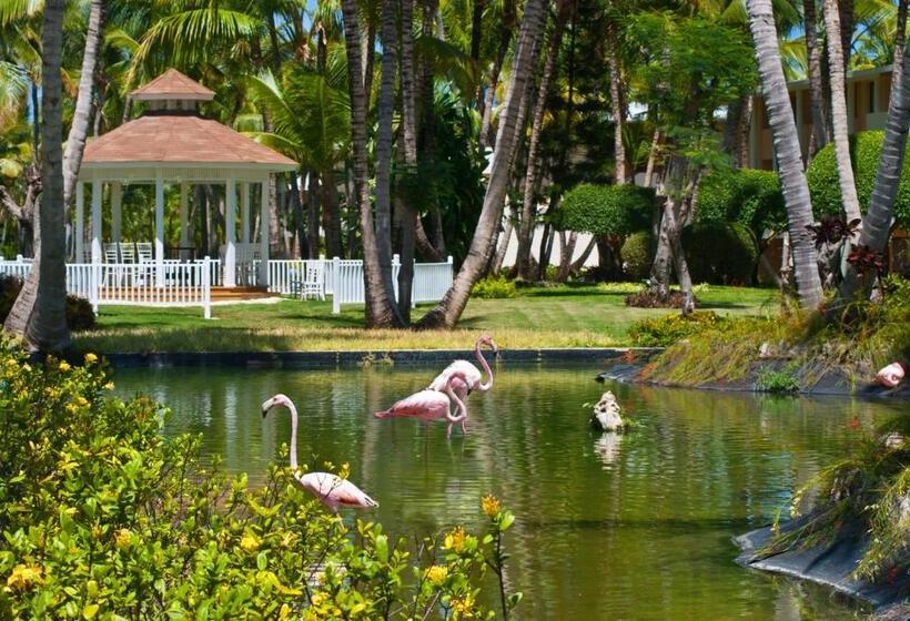 Catalonia Punta Cana  All Inclusive