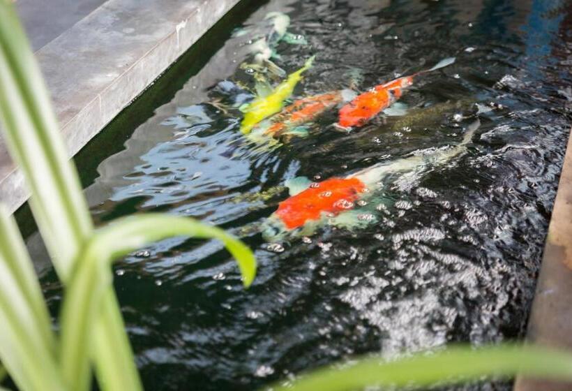 Fotos del hotel Memory Patong:  7