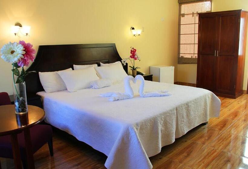 Fotos del hotel Villa De Valverde:  19