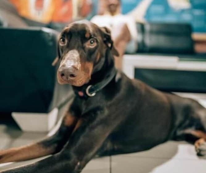 Fotos del hotel Isla De Manga:  4