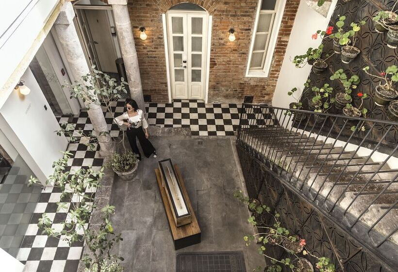 Fotos del hotel Carlota Sustainable Design:  12