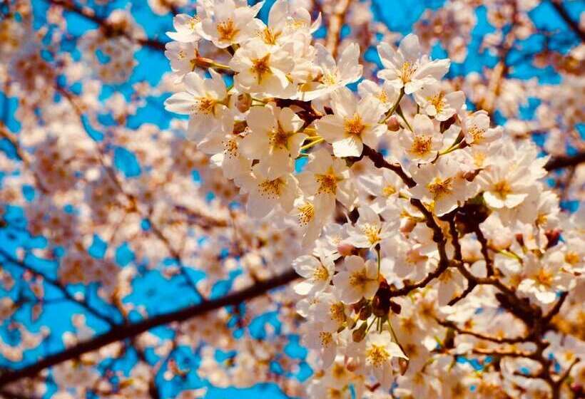 Fotos del hotel Apa  Keisei Ueno Ekimae:  3