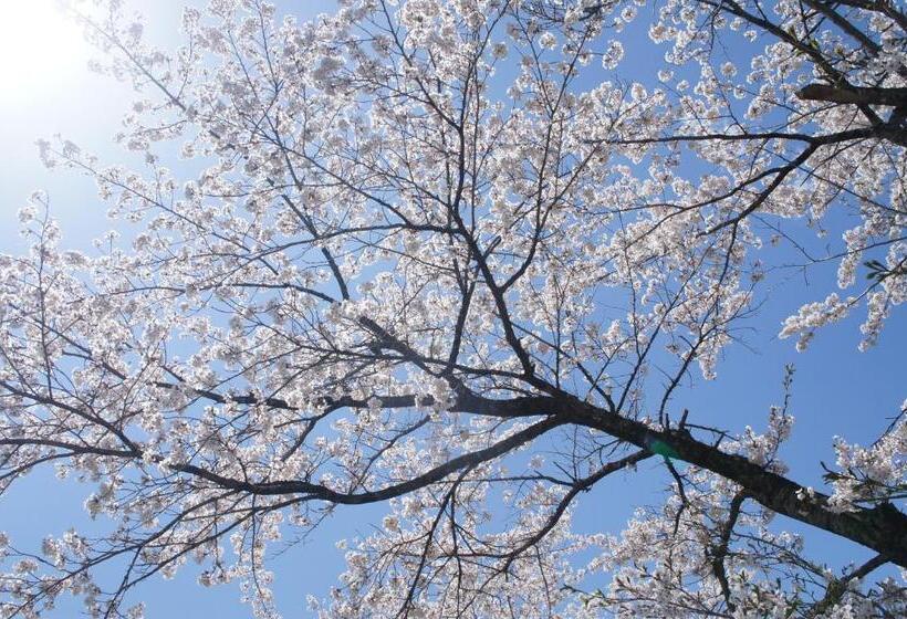 Fotos del hotel Abest Hakuba Resort:  13