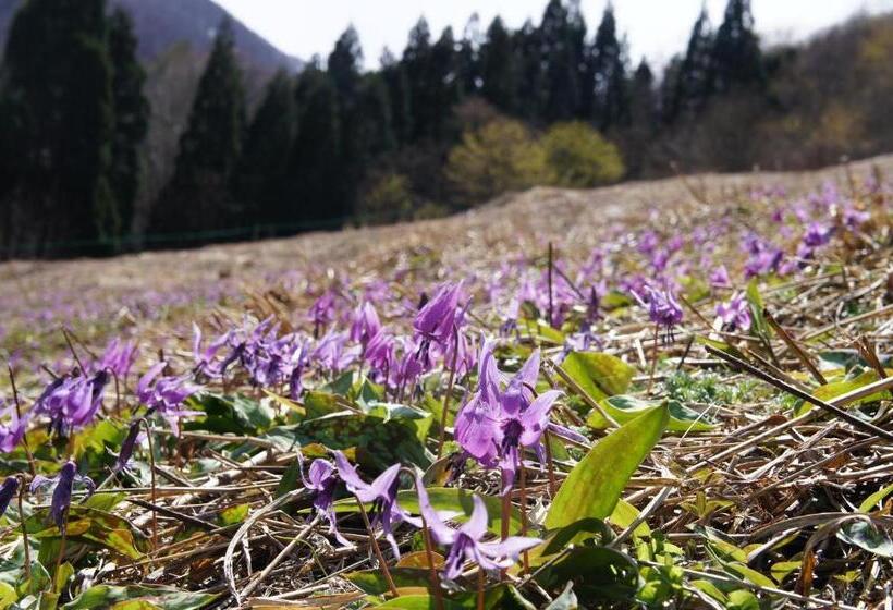 Fotos del hotel Abest Hakuba Resort:  7