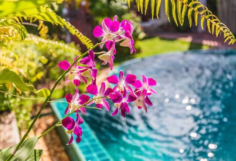 Fotos del hotel Monaburi:  8