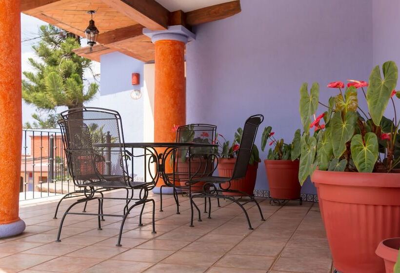 Fotos del hotel Santa Helena Plaza:  12