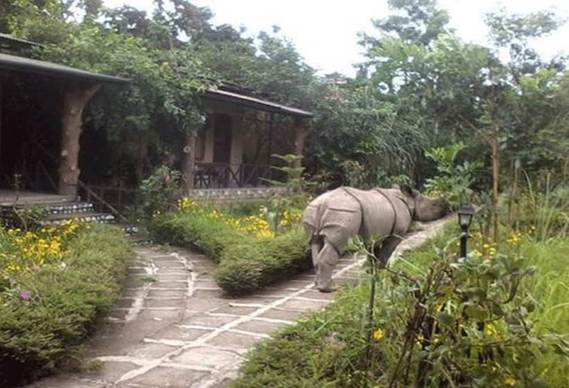 Fotos del hotel Chitwan Gaida Lodge:  12