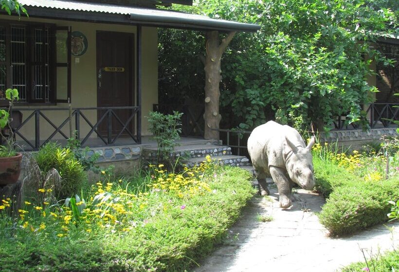 Fotos del hotel Chitwan Gaida Lodge:  6