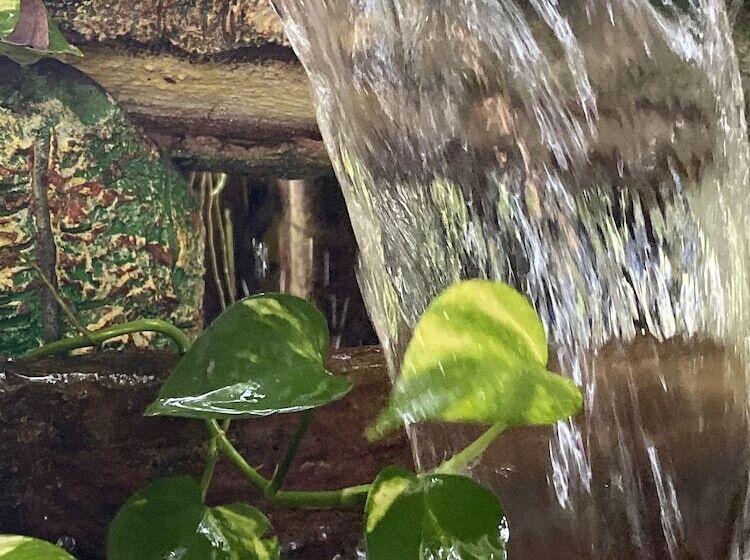 Fotos del hotel Khaolak Grand City:  8