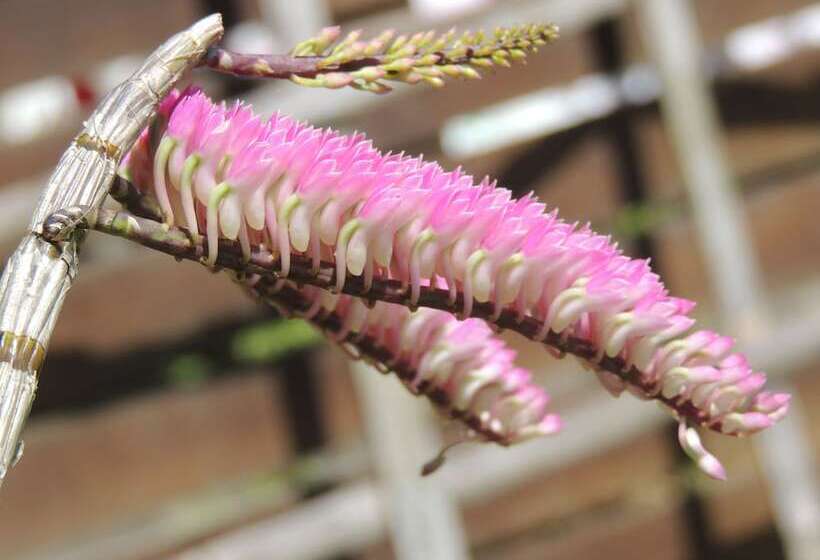 Fotos del hotel Khaolak Grand City:  13