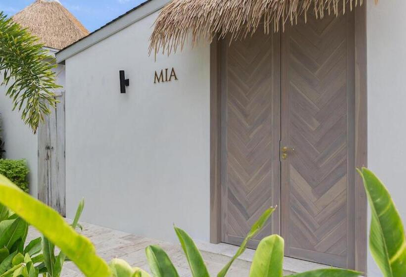 Fotos del hotel Eden Beach Bungalows:  15