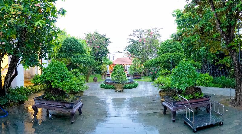 Fotos del hotel Hoi An Emotion Boutique:  4