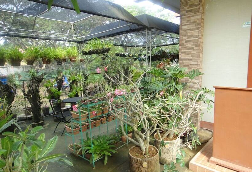 Fotos del hotel Casanas Suites:  19