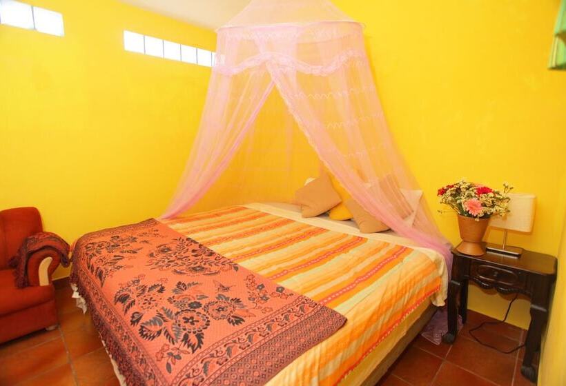 Fotos del hotel Casa Colonial:  12