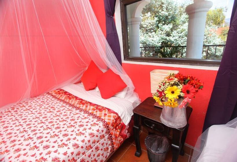 Fotos del hotel Casa Colonial:  10