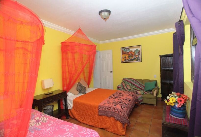 Fotos del hotel Casa Colonial:  16