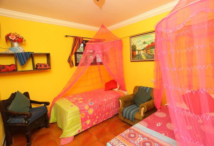 Fotos del hotel Casa Colonial:  18