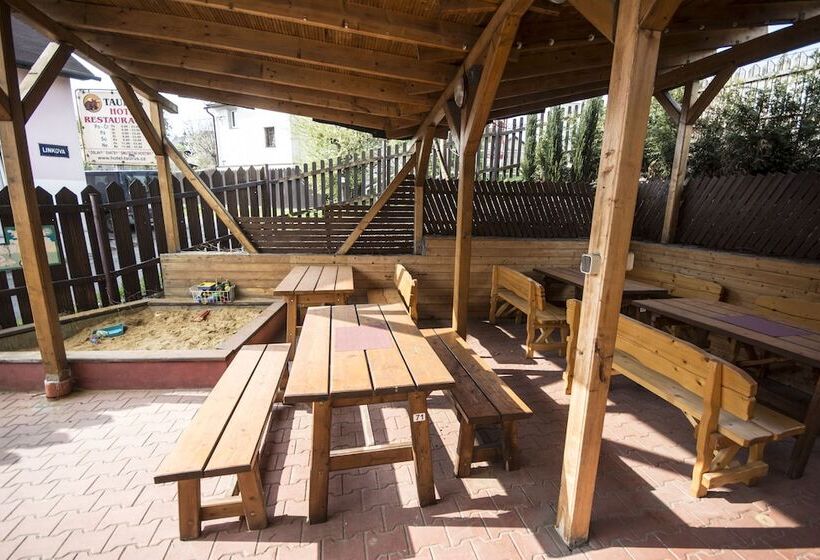 Fotos del hotel Taurus:  5