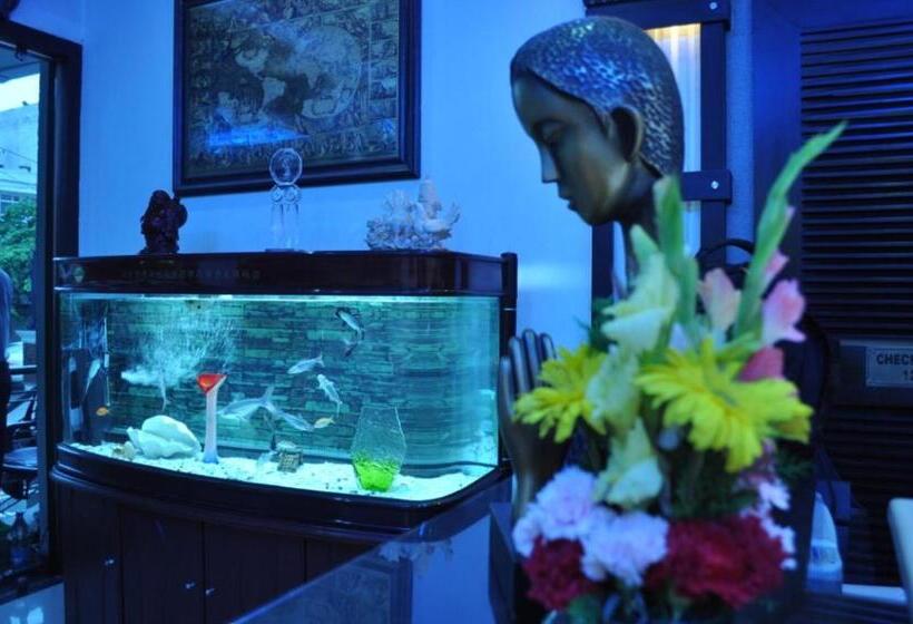 Fotos del hotel Solo Victoria:  7