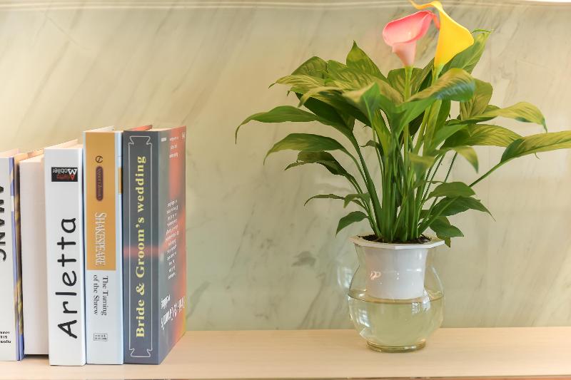 Fotos del hotel Starway Hotel Hongqiao Transportation Hub:  5