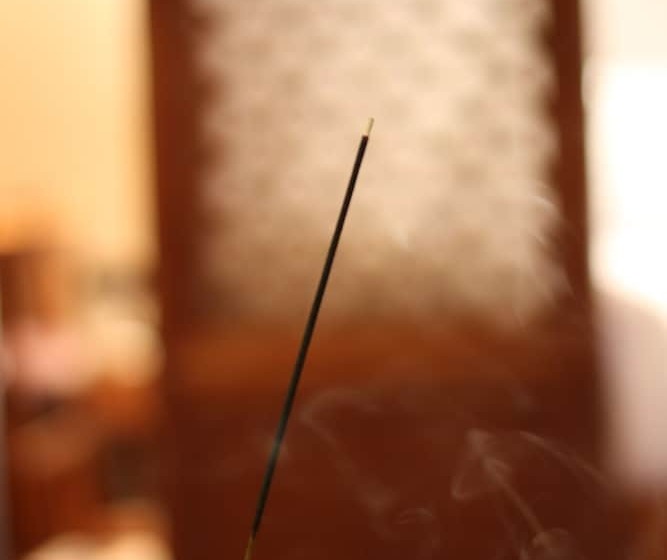 Fotos del hotel Sedour  Lijiang:  8