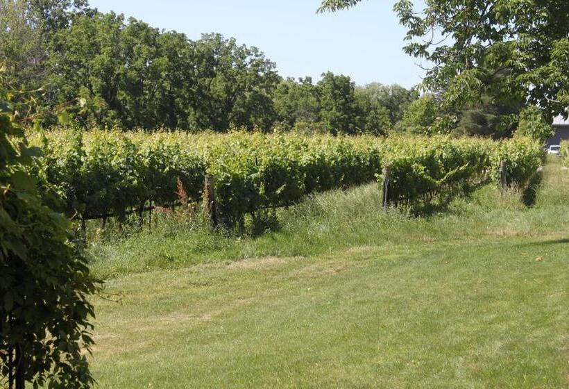 Fotos del hotel Green Oaks B&b:  22