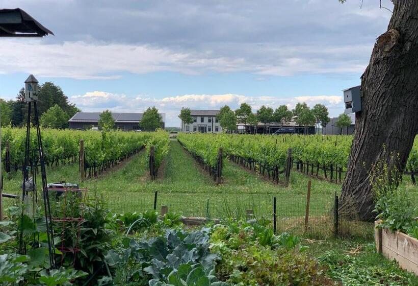 Fotos del hotel Green Oaks B&b:  16