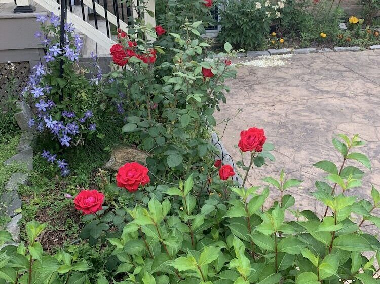 Fotos del hotel Green Oaks B&b:  25