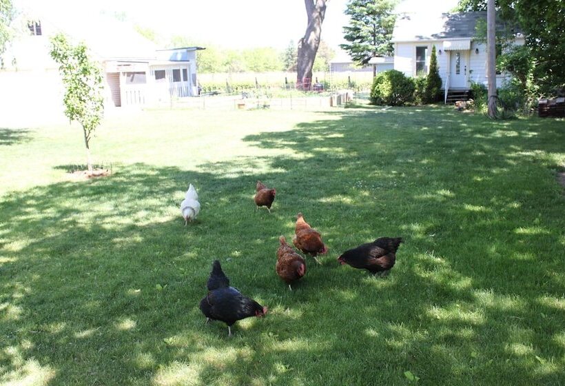 Fotos del hotel Green Oaks B&b:  20