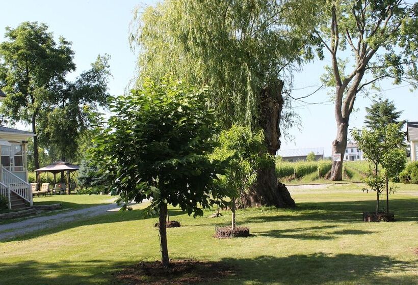 Fotos del hotel Green Oaks B&b:  6