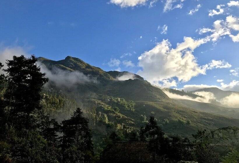 Fotos del hotel Sapa Jade Hill Resort & Spa:  18