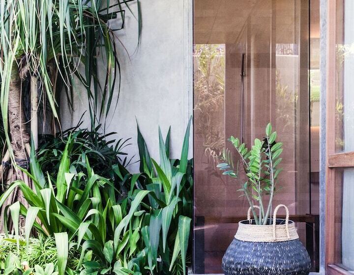 Fotos del hotel The Slow:  19