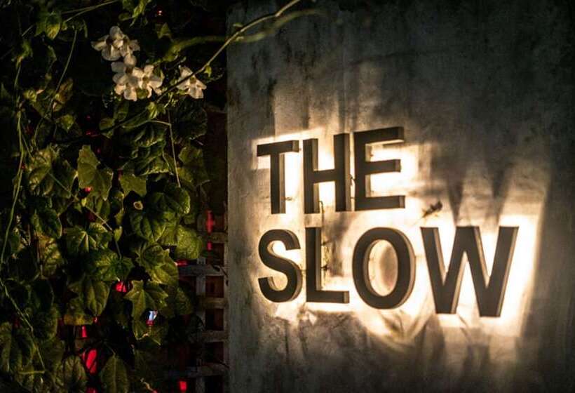 Fotos del hotel The Slow:  9