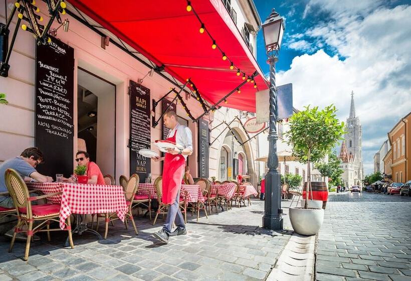 Fotos del hotel Pest-buda Design Hotel By Zsidai Hotels At Buda Castle:  6