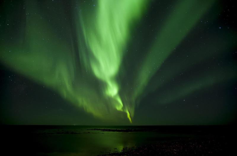 Fotos del hotel Tower Suites Reykjavík:  5