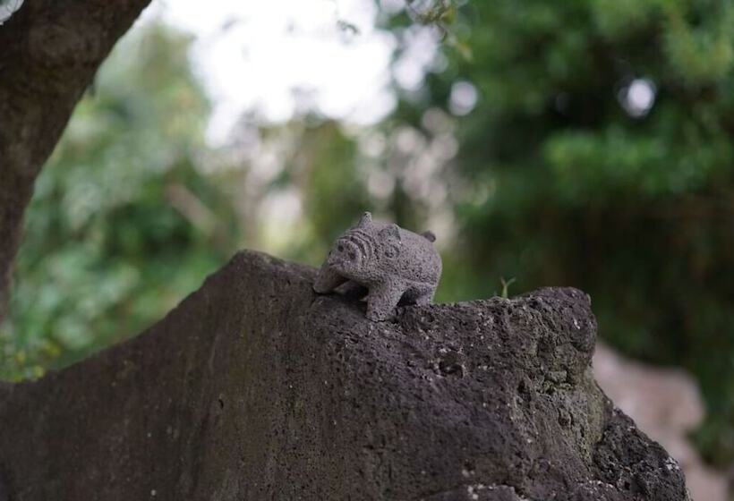 Fotos del hotel Jeju Aurora:  8