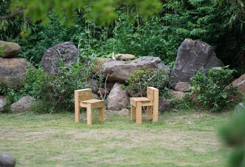 Fotos del hotel Jeju Aurora:  9