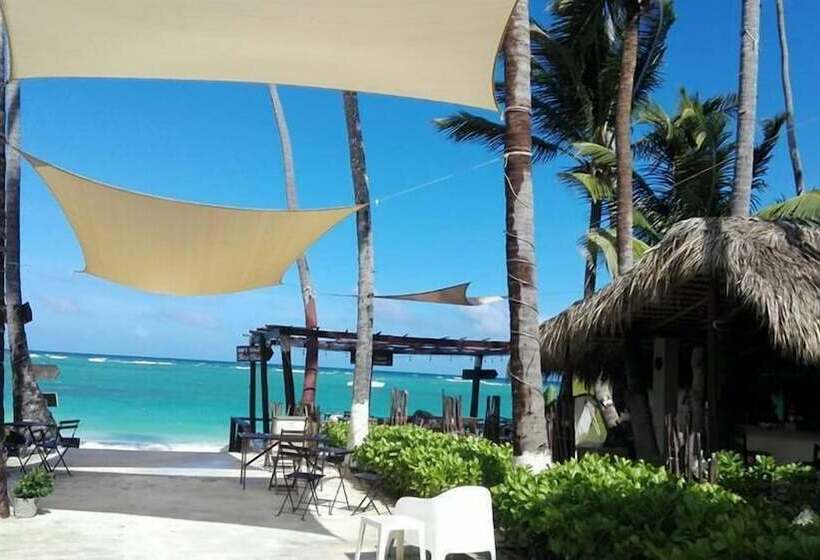 Fotos del hotel Capri Beach House:  9