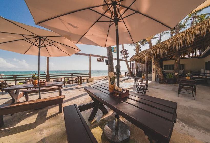 Fotos del hotel Capri Beach House:  6