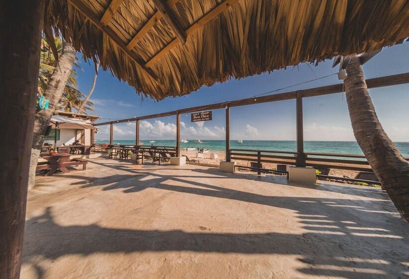 Fotos del hotel Capri Beach House:  5