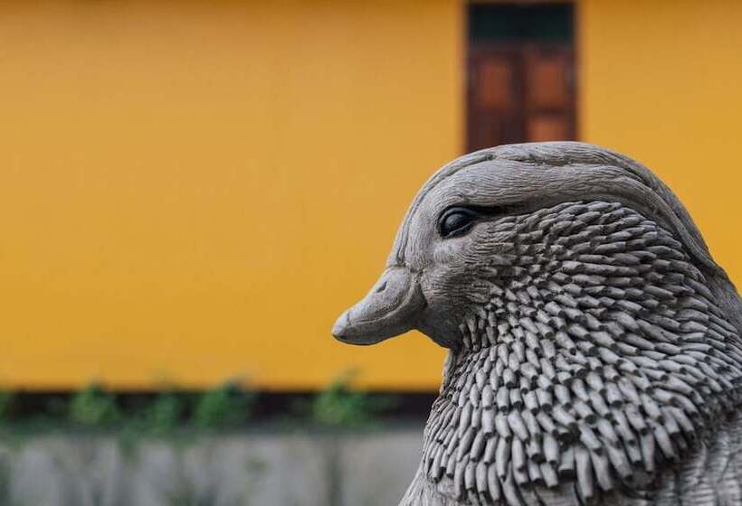 Fotos del hotel Le Jardin:  6