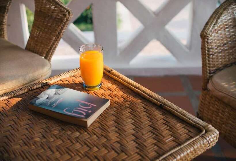 Fotos del hotel Le Jardin:  13