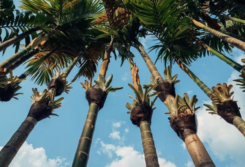 Fotos del hotel Le Jardin:  15